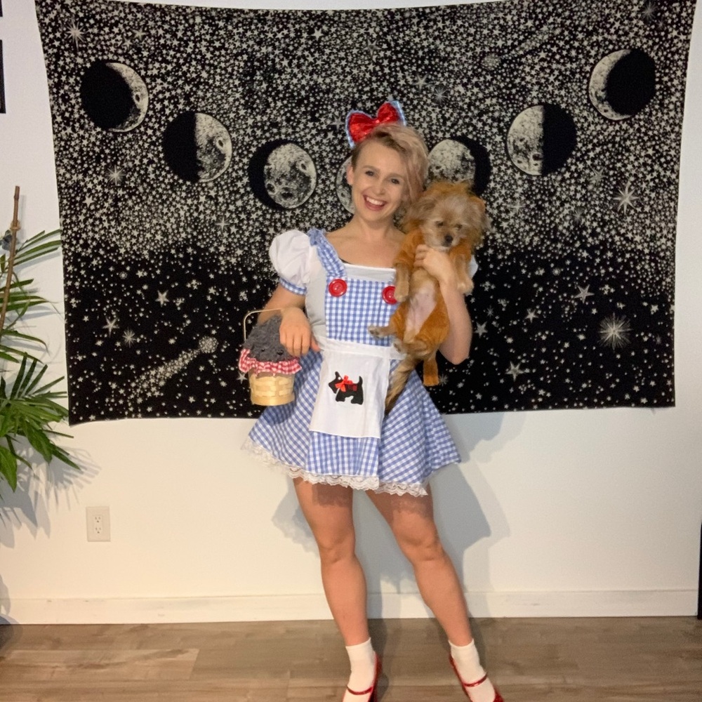 Charming Sexy Dorthy Halloween Costume